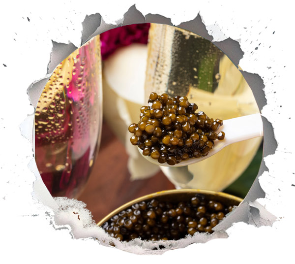 Beluga caviar on spoon