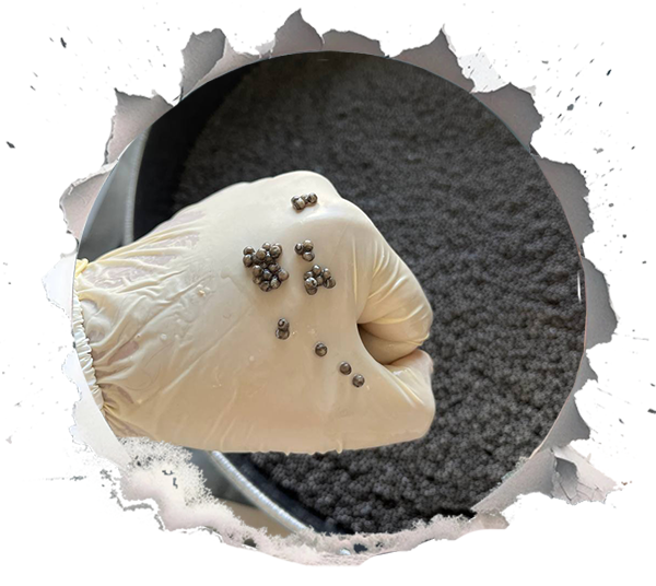 How Does Average Maturity of Sturgeon Species Affect Caviar Prices?
