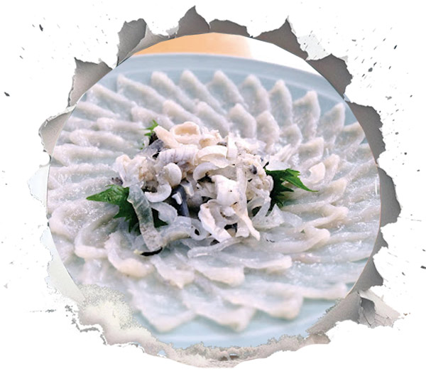 Fugu (Kugelfisch) 