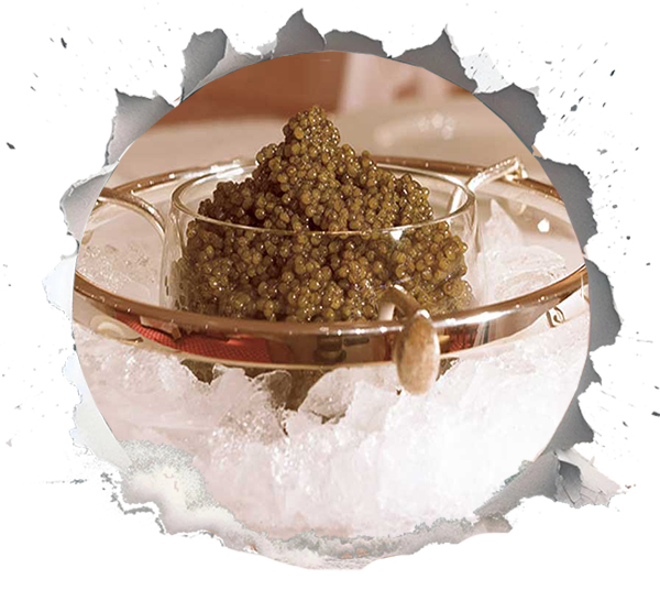 Eis-Schale