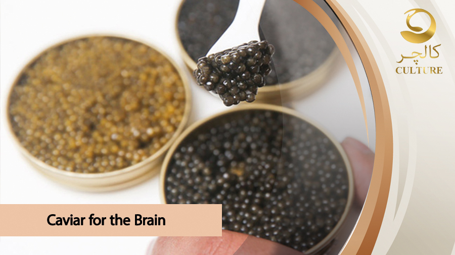 Caviar for the Brain