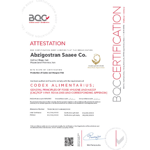 BQC