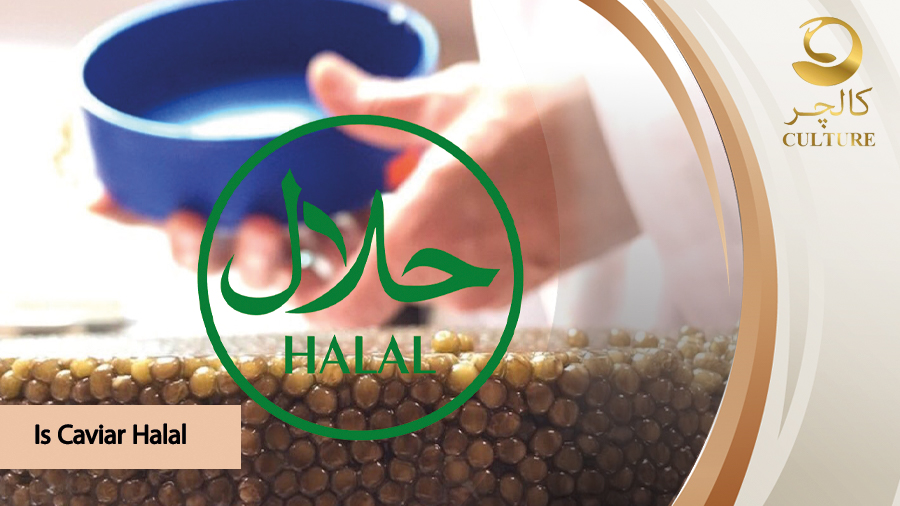 Is Caviar Halal?
